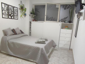 Departamento céntrico